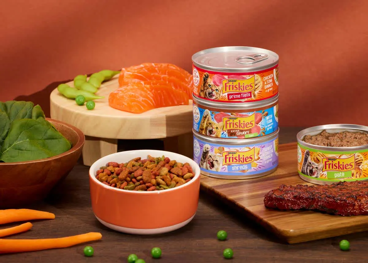 Friskies cat food cans with salmon and a bowl of kibble