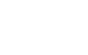 Crescent Comets logo